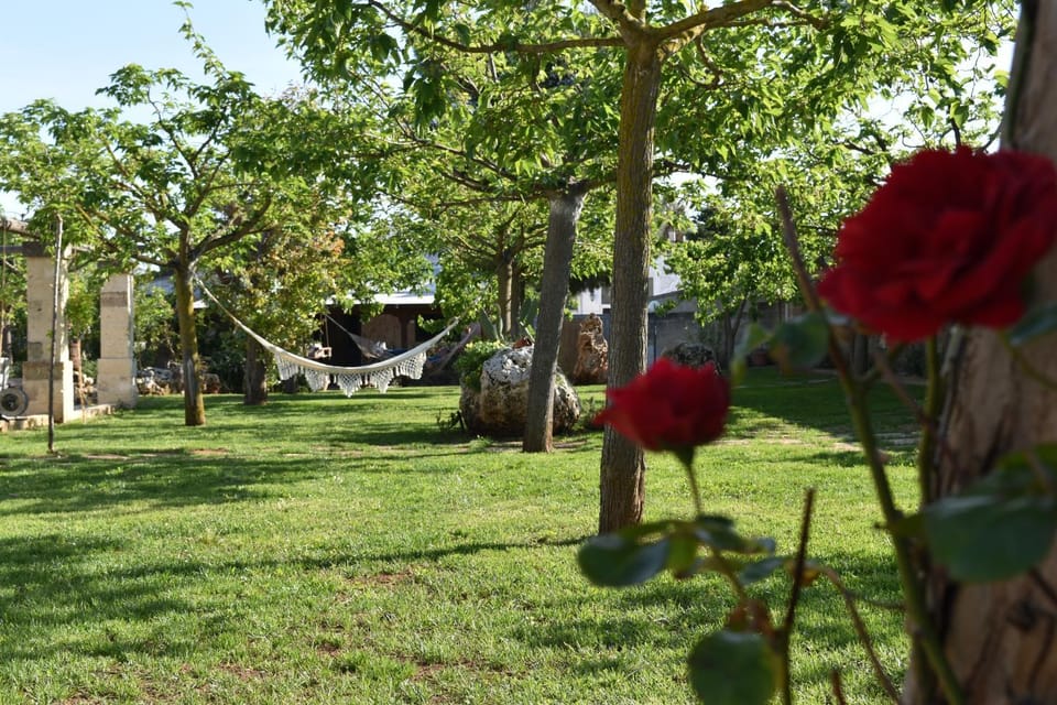 Tenuta Nonno Carmine Bed and Breakfast in Apulia