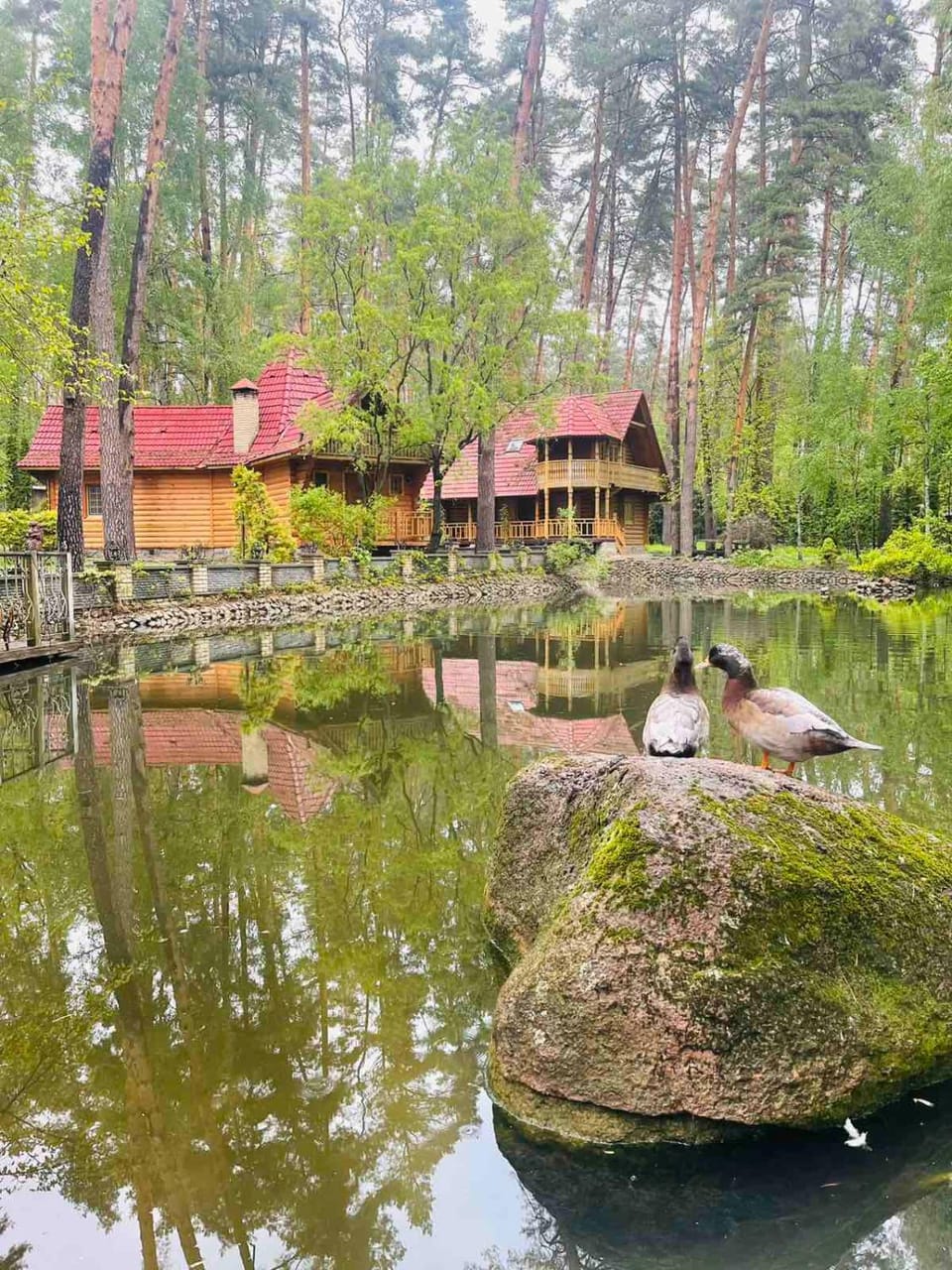 View (from property/room), Lake view, River view