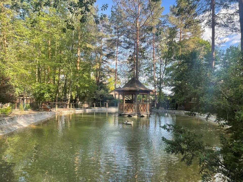 Day, Natural landscape, Lake view
