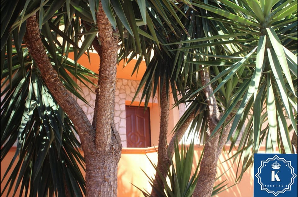 Facade/entrance, Garden