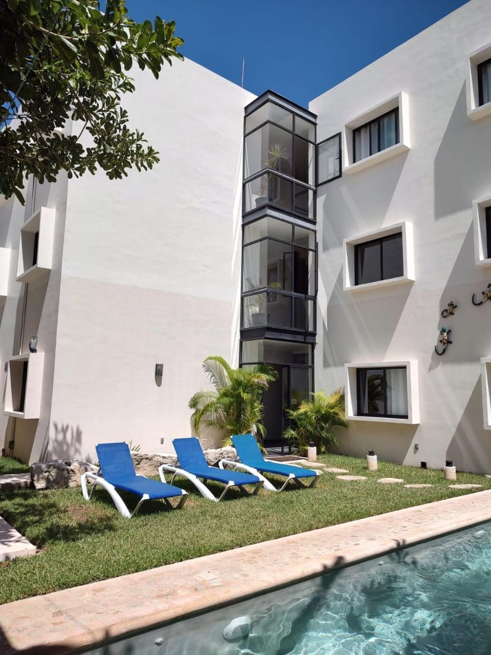 Property building, Garden, Garden view, Swimming pool, sunbed