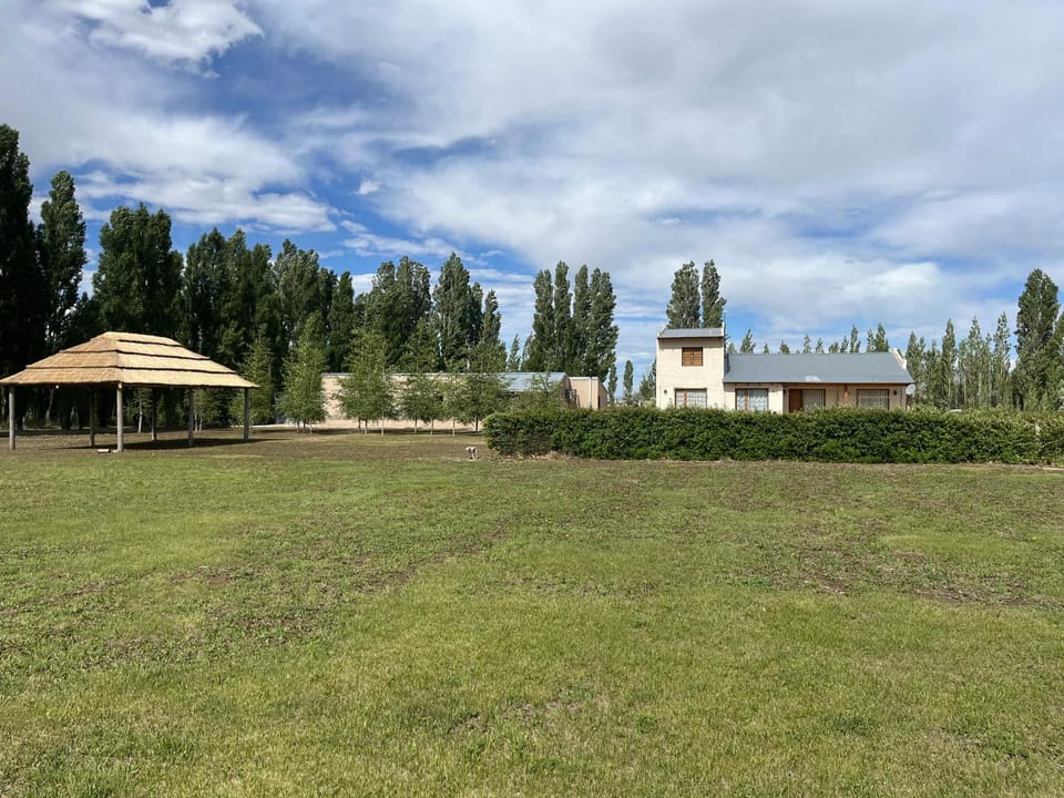 Day, Natural landscape, Garden, Garden view