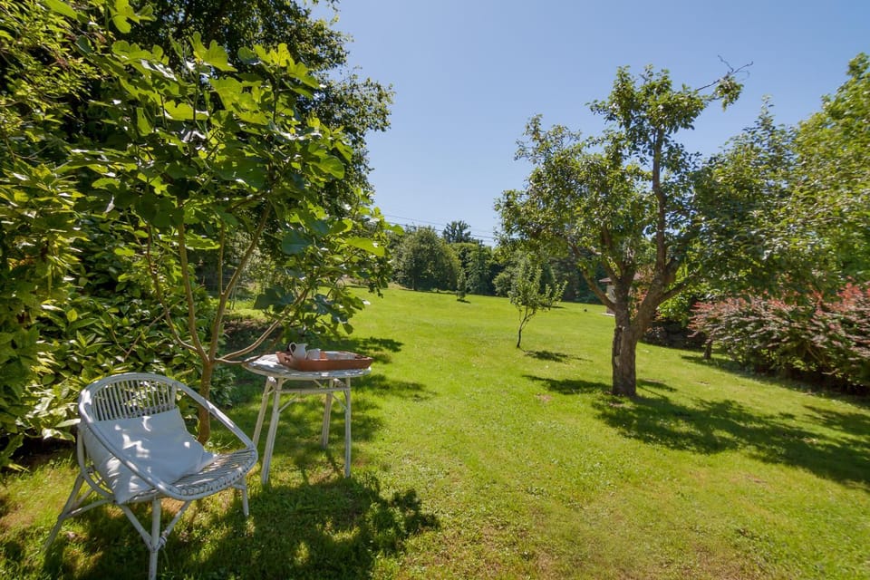 Natural landscape, Seating area, Garden view