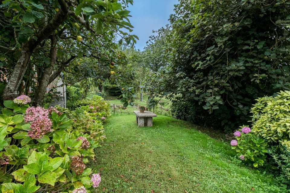 La Torrentera de Cantabria House in Cantabria