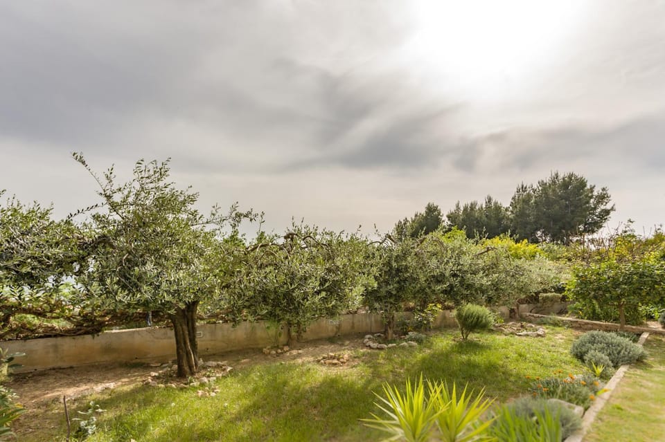 Spring, Natural landscape, Garden