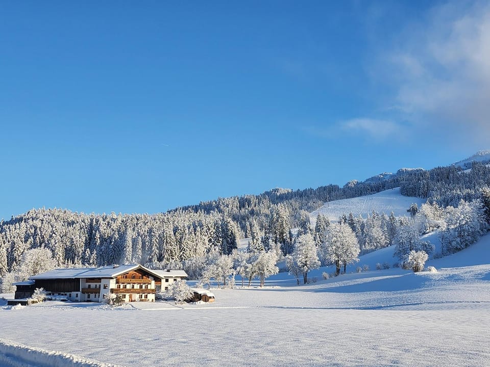 Property building, Day, Natural landscape, Winter, Mountain view