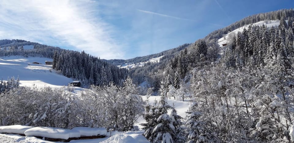 Haus Fichtenblick Apartment in Tyrol