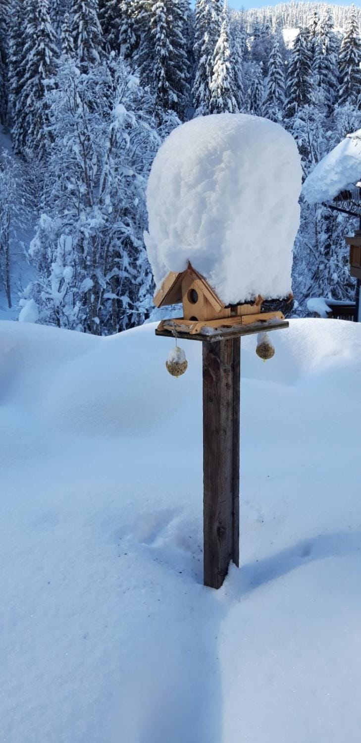 Haus Fichtenblick Apartment in Tyrol