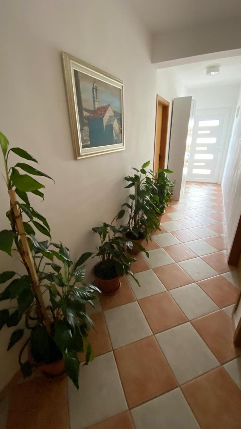 Apartments San Giorgio Apartment in Dubrovnik-Neretva County