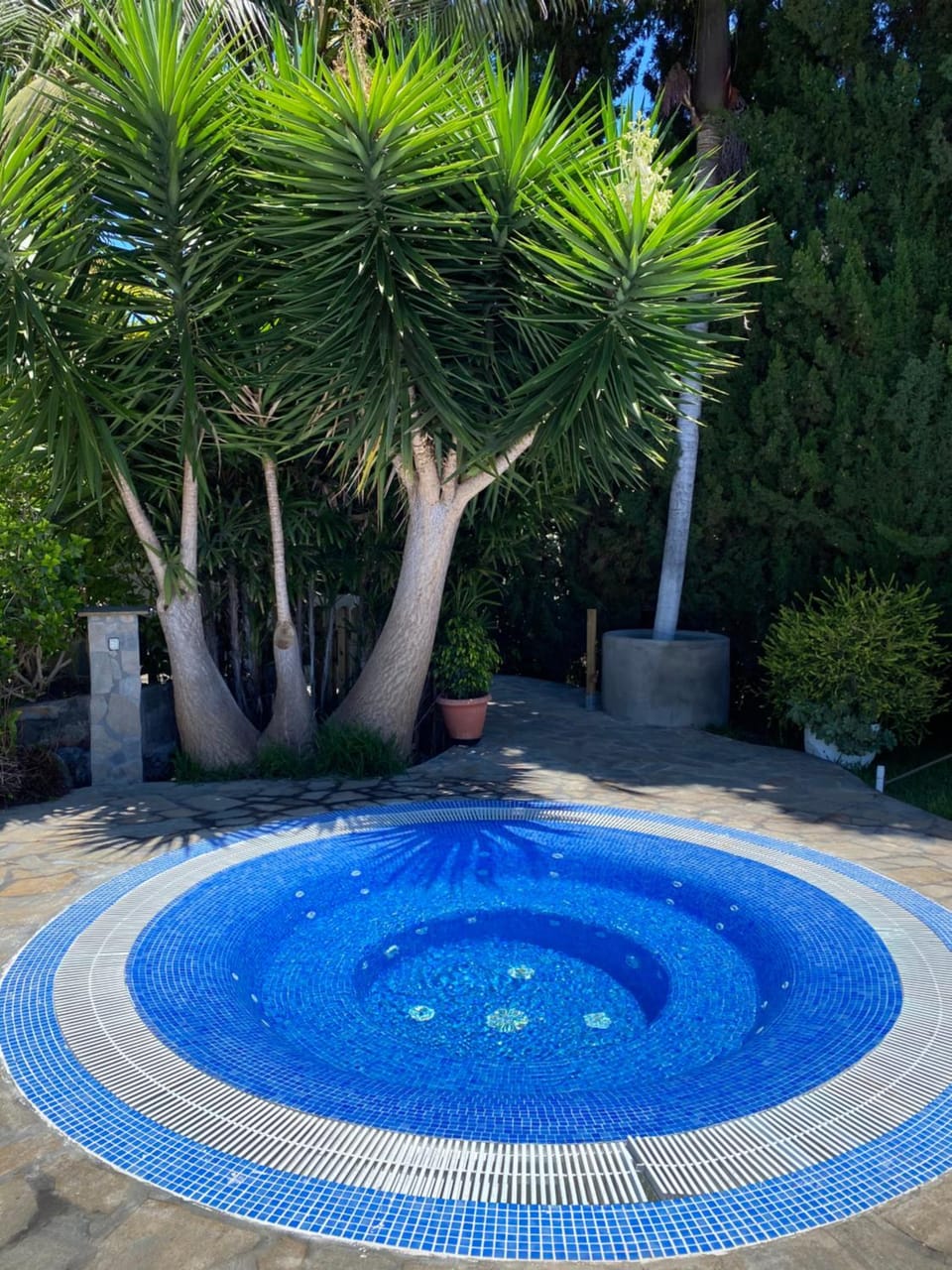 Garden, Garden view, Pool view