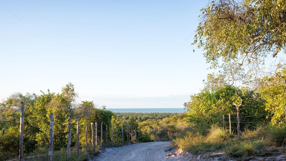 Natural landscape, View (from property/room), Other
