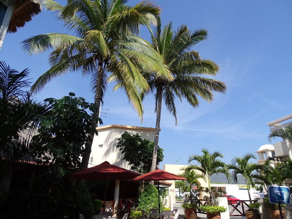 Hotel Palapa Palace Hotel in State of Chiapas