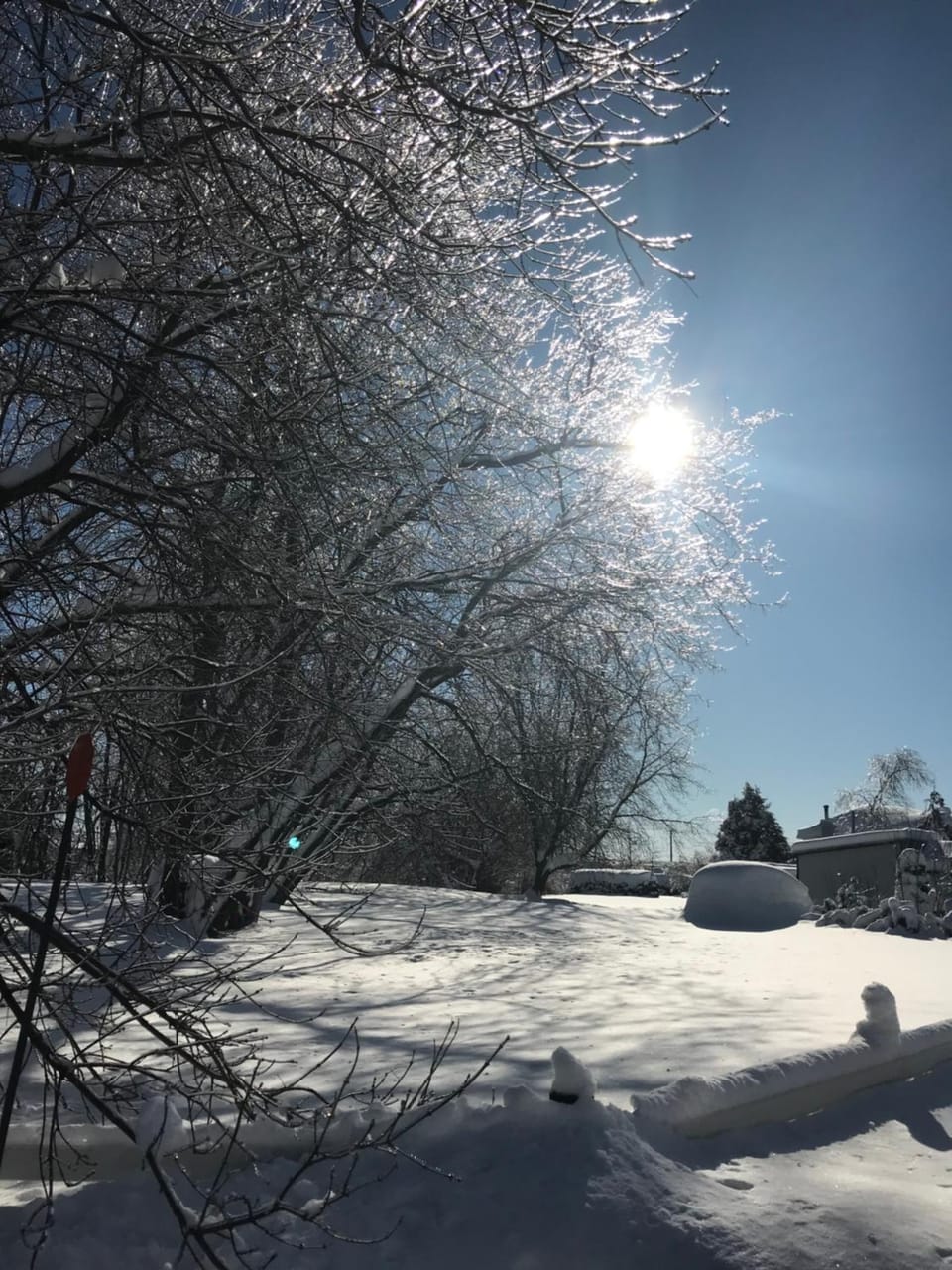 Natural landscape, Winter