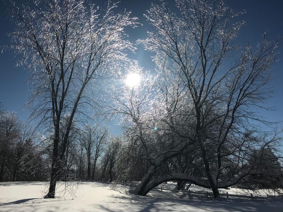 Natural landscape, Winter
