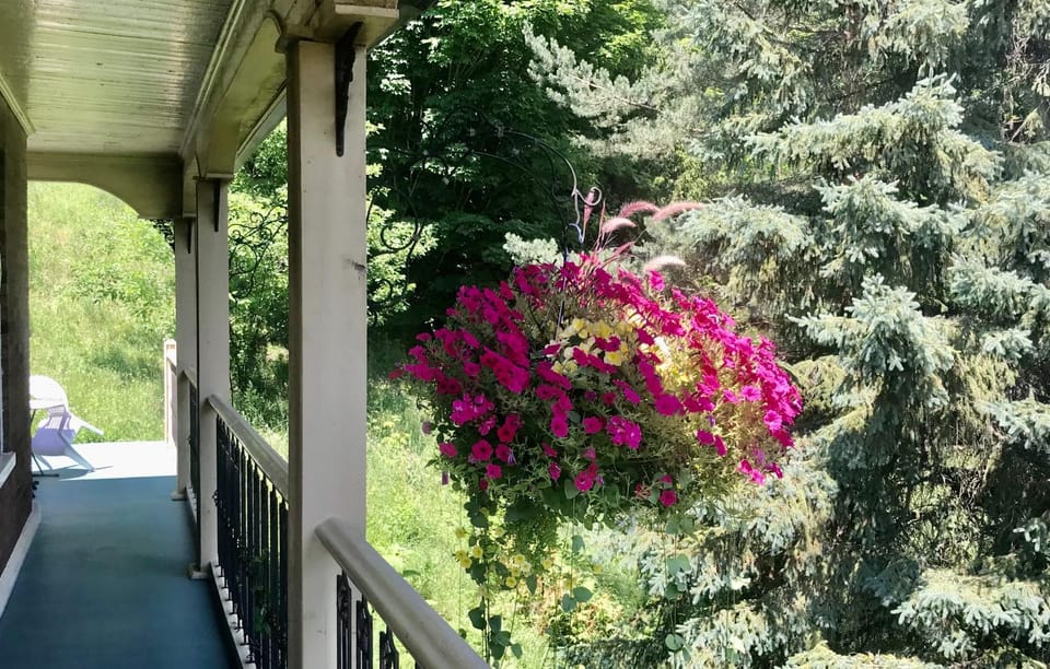 Balcony/Terrace, Garden view