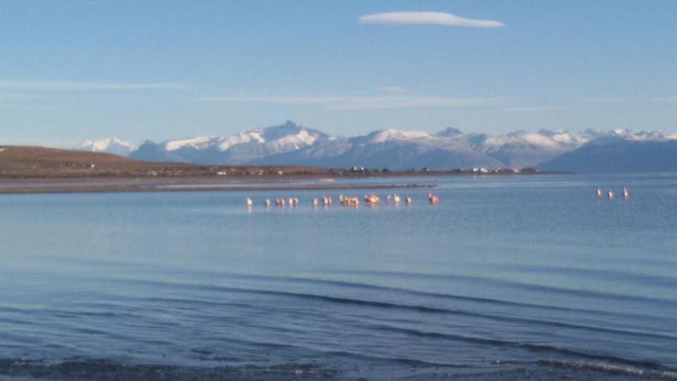 Edelweiss Hostel Hostel in El Calafate