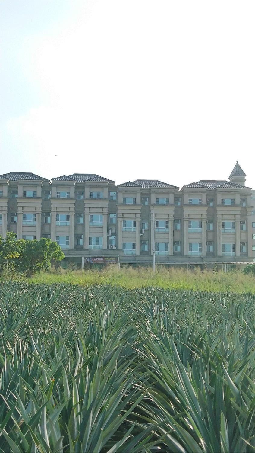 Sanxing Hall Homestay Vacation rental in Fujian