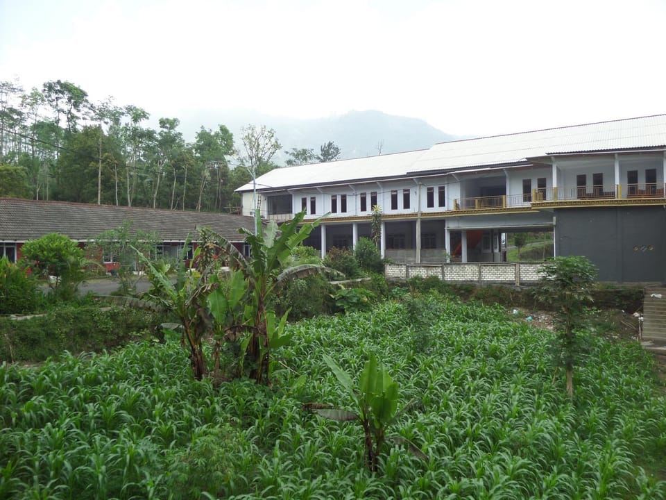 Property building, Day, Natural landscape, Area and facilities