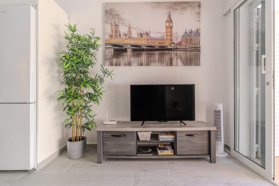 TV and multimedia
