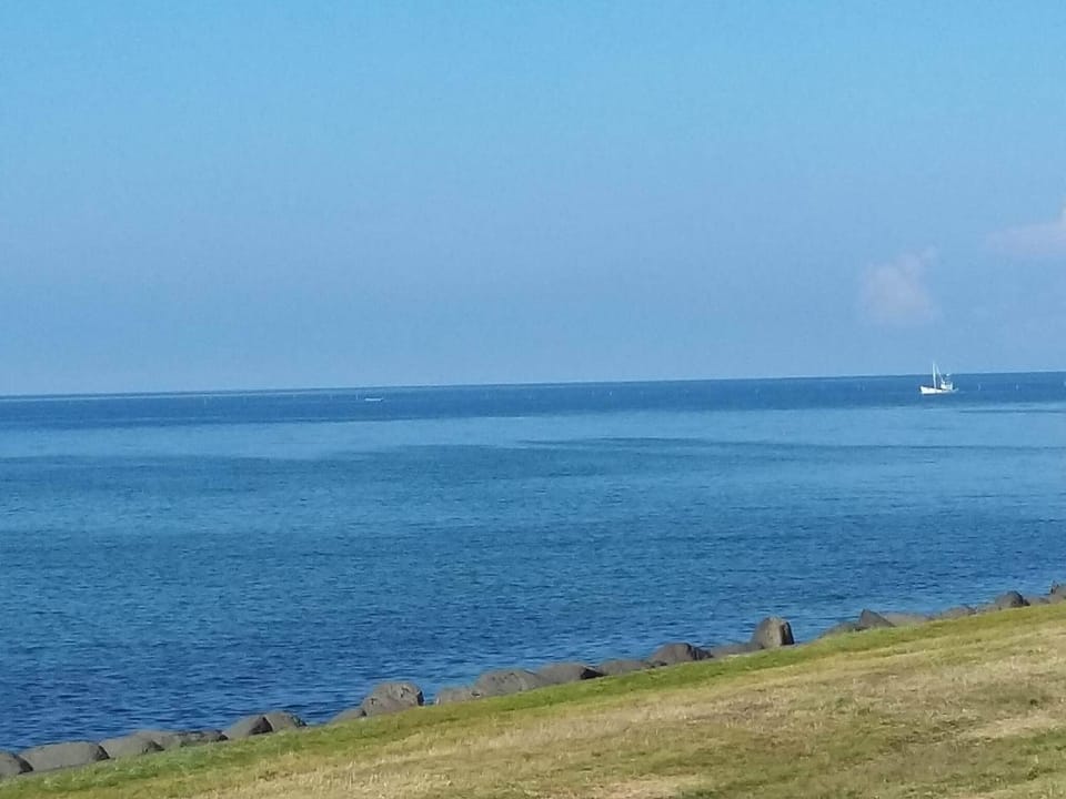 Lake view