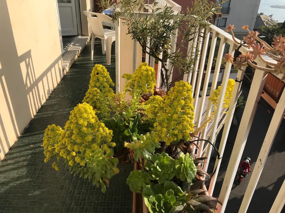 Property building, Spring, Balcony/Terrace