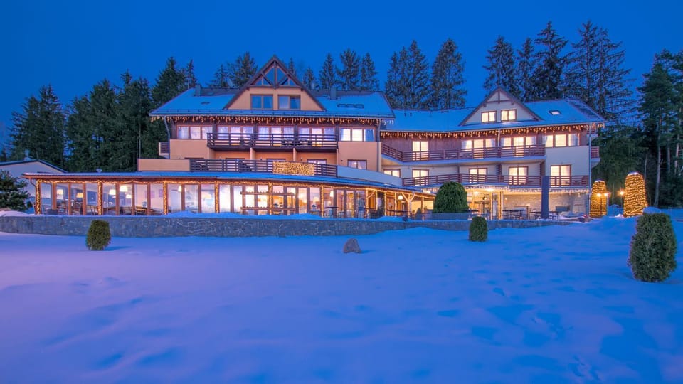 Property building, Restaurant/places to eat, Night, Natural landscape, Winter