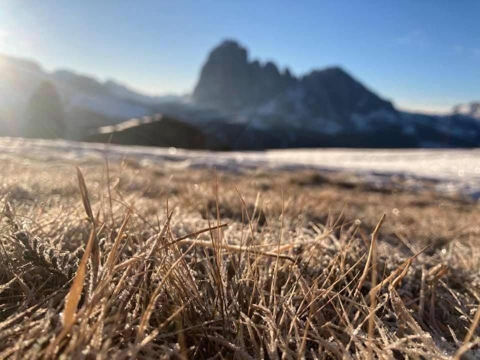 Hiking