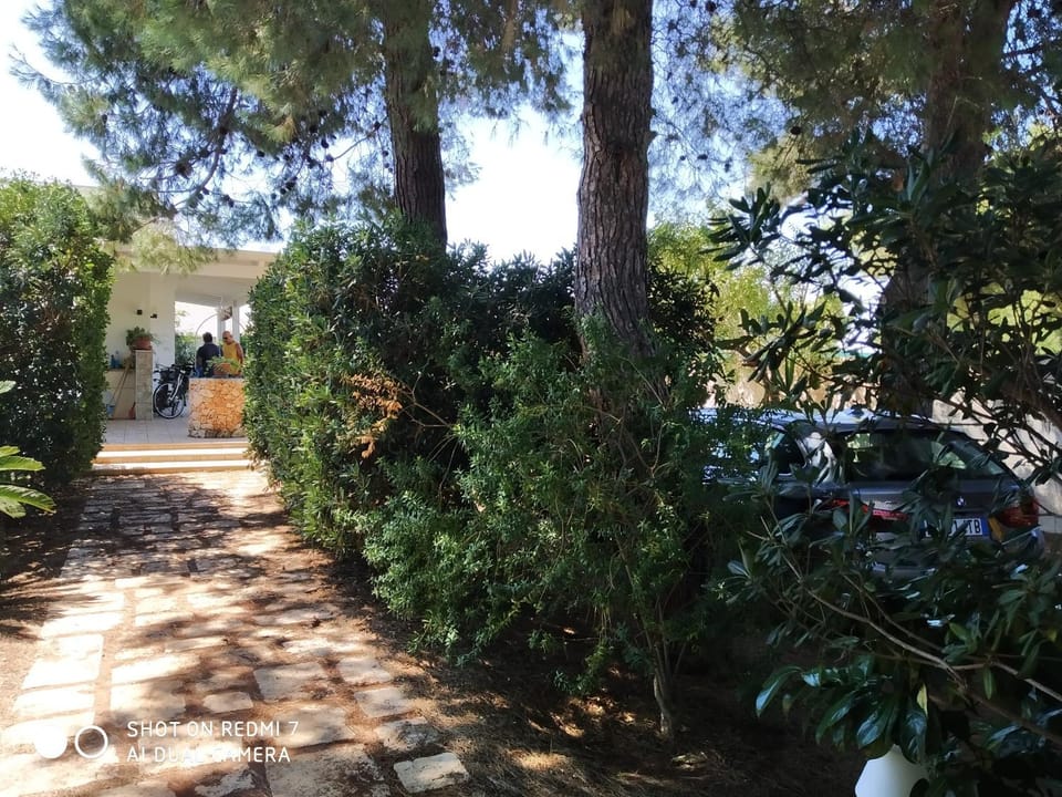 Casavacanza Sasinae Bilocale Bed and Breakfast in Apulia