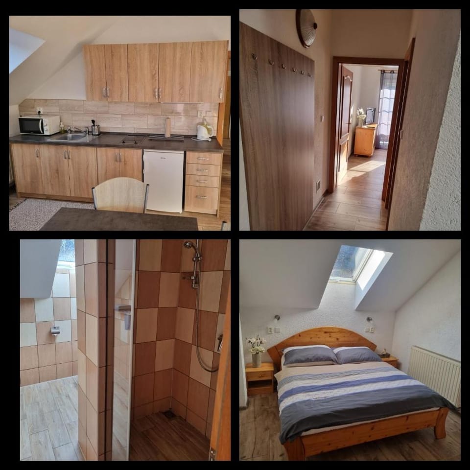 Penzion Šárka Apartment in Saxony