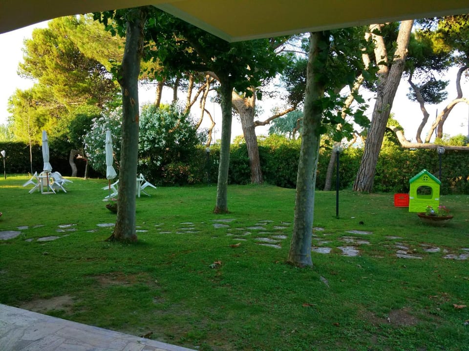 Patio, Garden