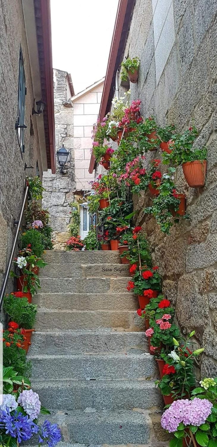 Apartamento en primera línea de playa Apartment in Galicia