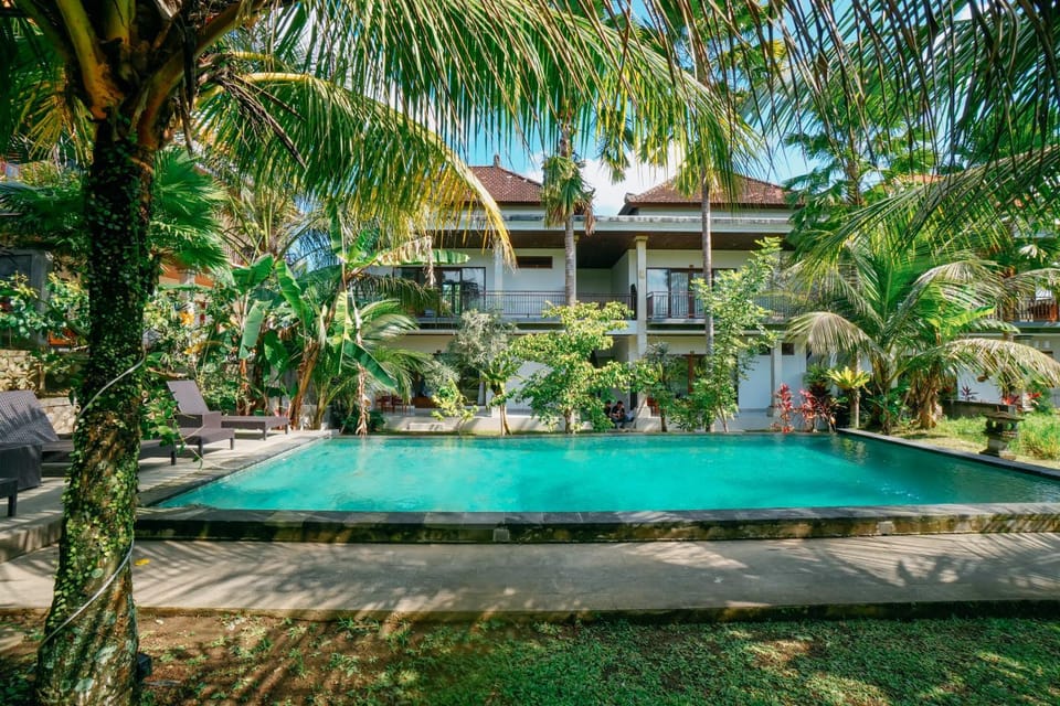 Property building, Day, Garden, Garden view, Pool view, Swimming pool, Swimming pool