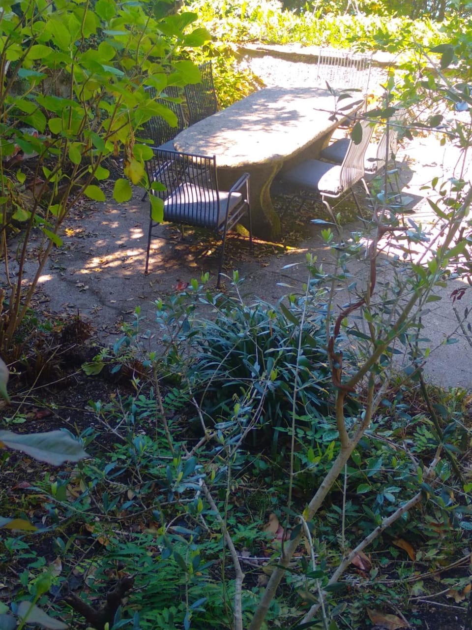 Garden view