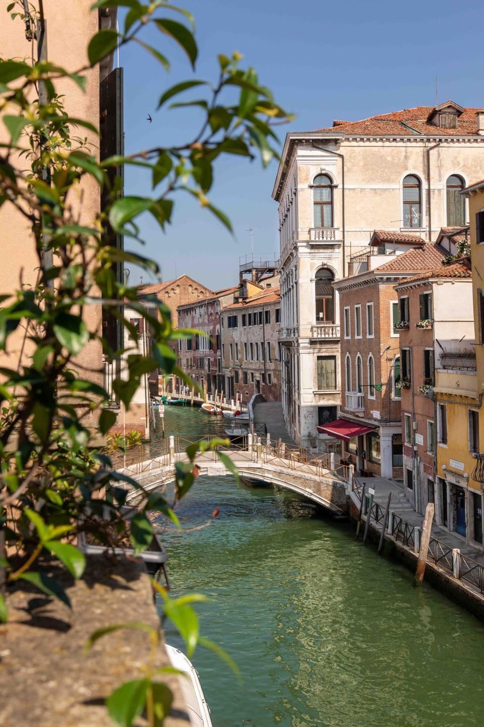 Charming Palace Santa Fosca Bed and Breakfast in Venice