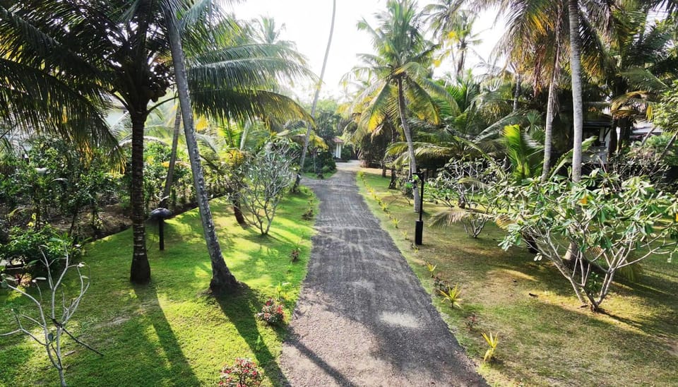 Natural landscape, Garden, Garden view