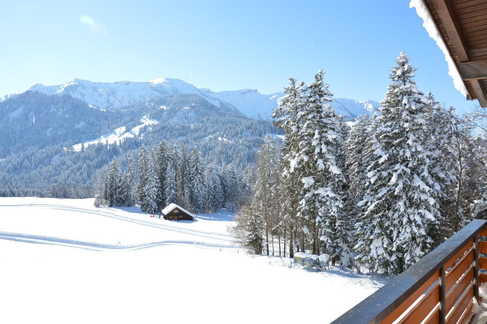 Day, Winter, On site, Sports