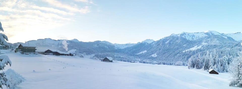 Natural landscape, Winter, Other, On site, Mountain view