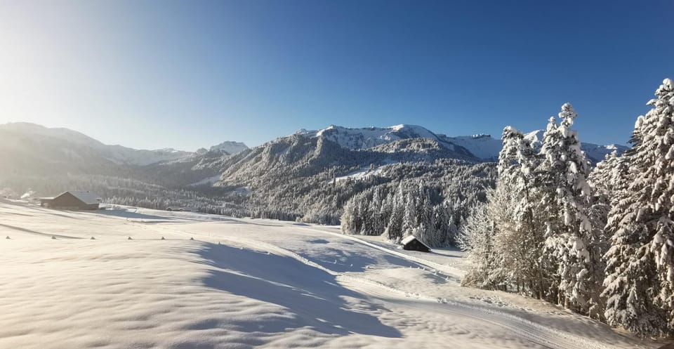 Natural landscape, Winter, Other, On site, Mountain view