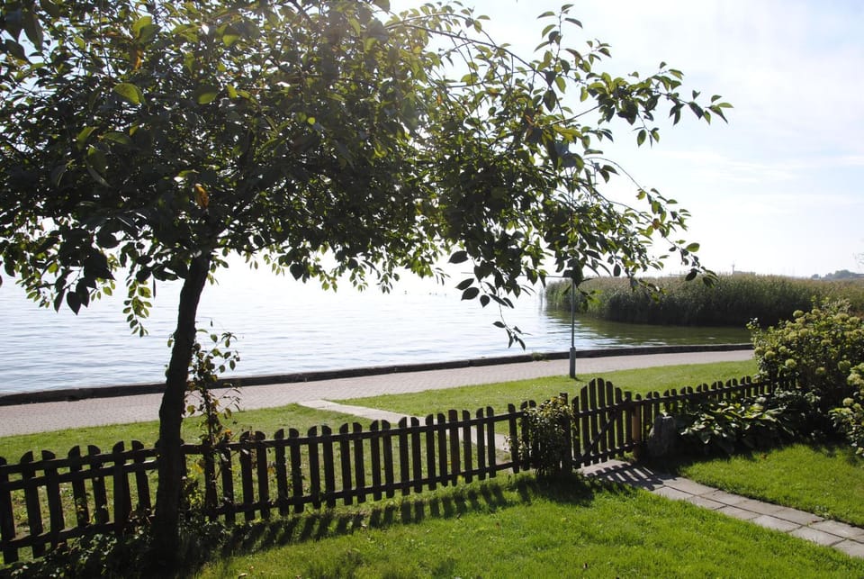 Natural landscape, Garden view, Lake view