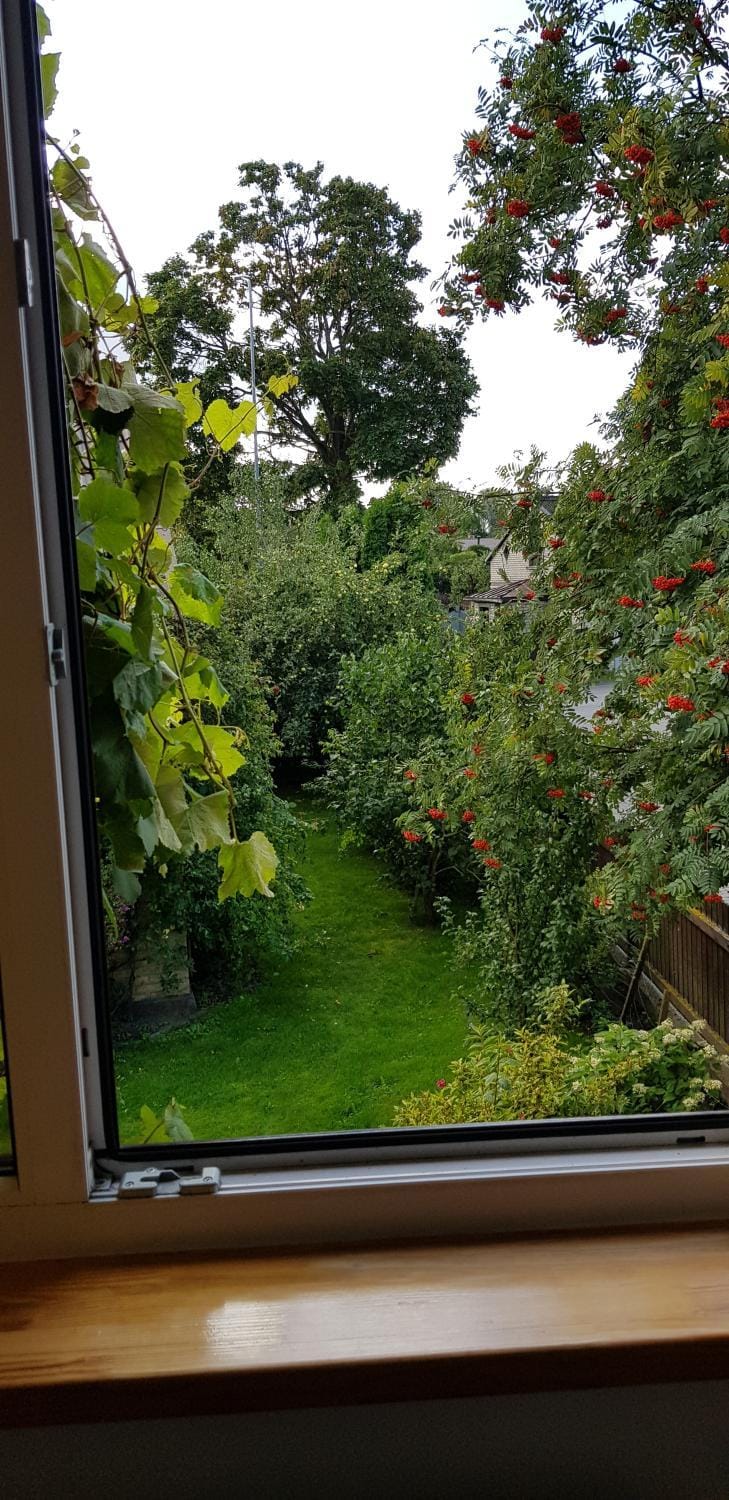 Guest House Maija Bed and Breakfast in Latvia