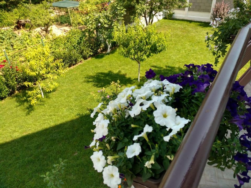 Apartments in Golden Sands park near the sea Apartment in Varna