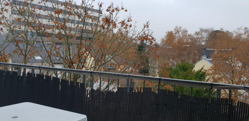 flats-4u - Cosy, quiet & clean apartments in the city ( Apt. 5 ) Apartment in Bonn