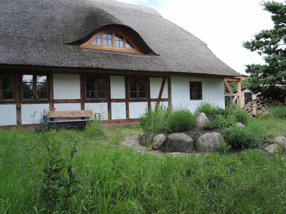 Natural landscape, Garden view