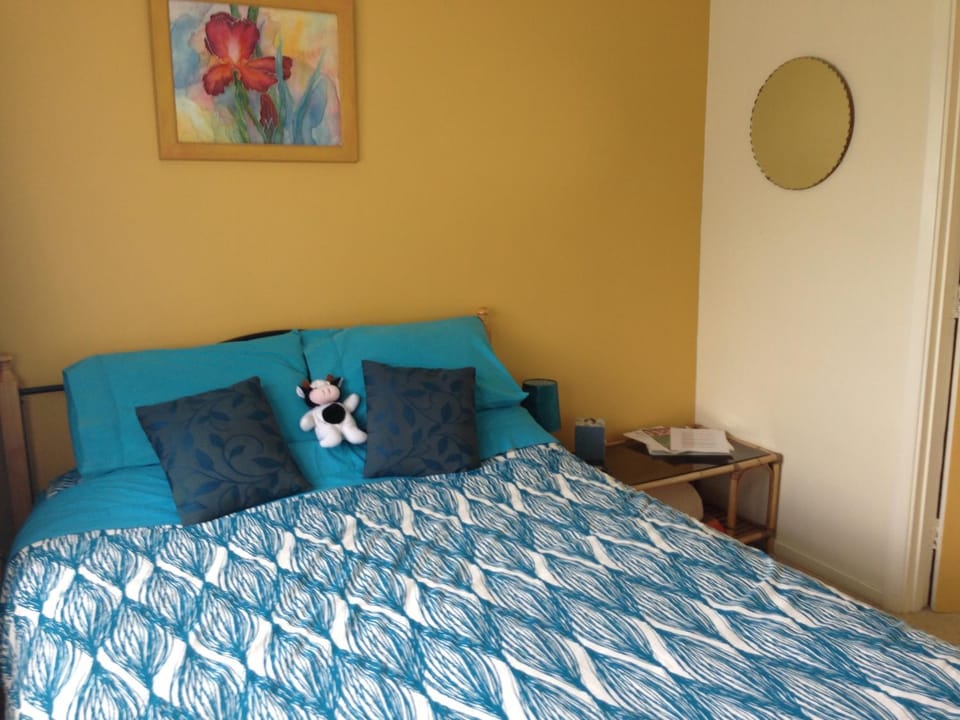 The Lazy Cow Accommodation Hostel in Tasman District, Tasman, New Zealand