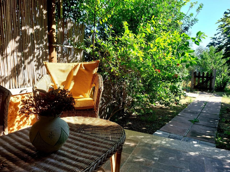 Inner courtyard view