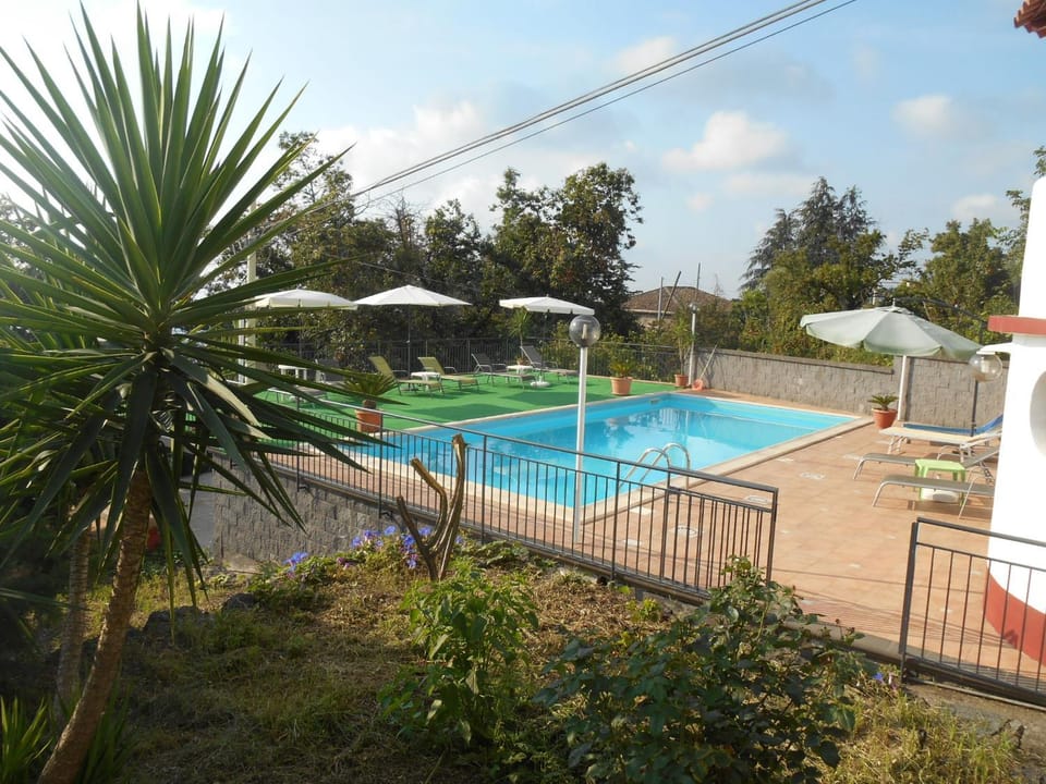 Activities, Other