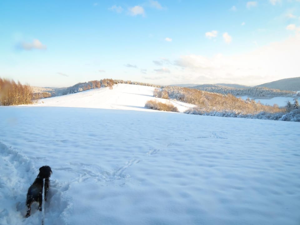 Off site, Day, Natural landscape, Winter, Pets, Mountain view