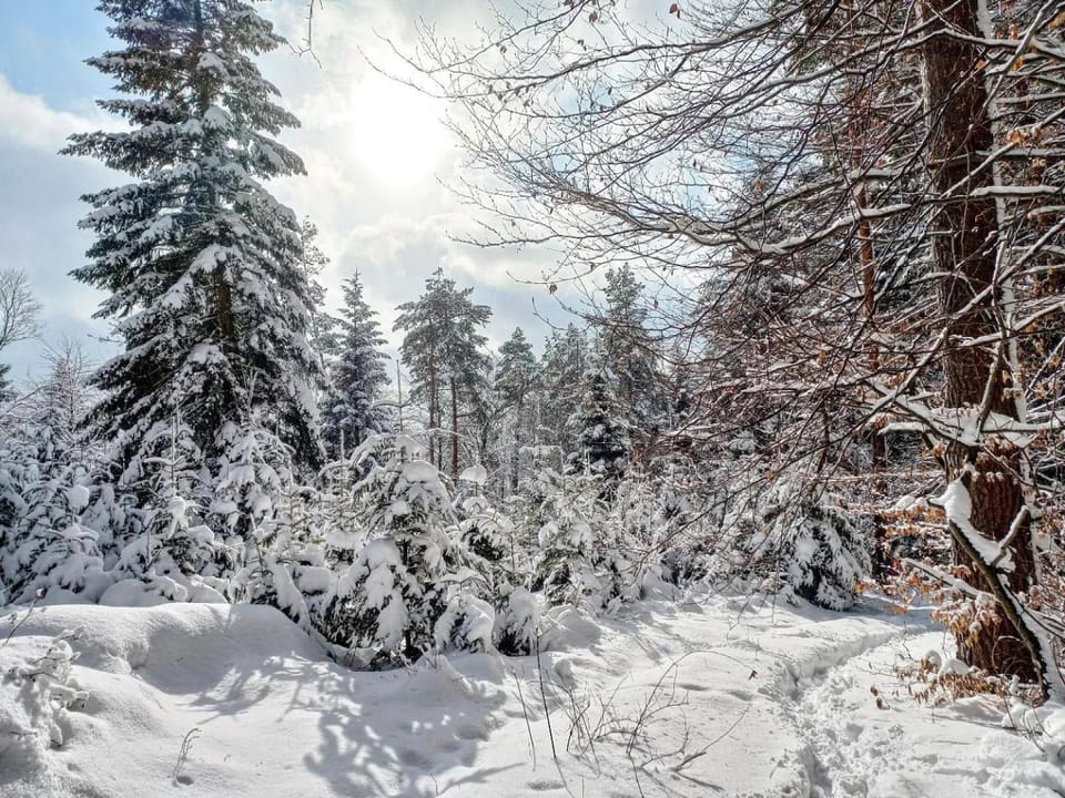 Off site, Winter