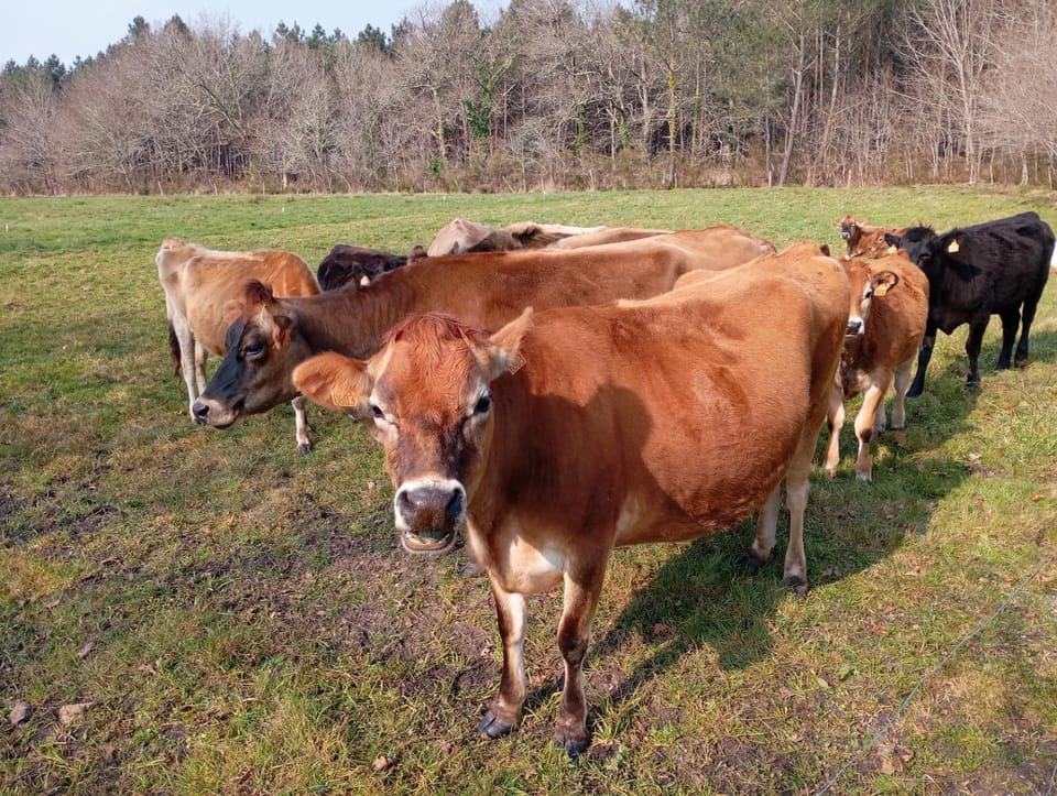 elevage du plec Bed and Breakfast in Nouvelle-Aquitaine