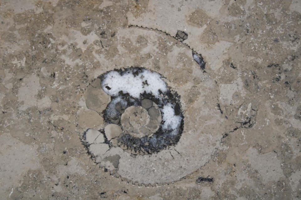 FeWo Bayha "Lerchenhaus" Apartment in Langenargen